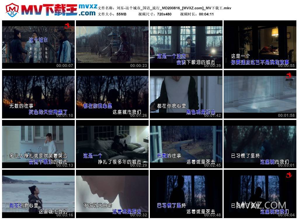 刘东-这个城市_国语_流行_MD200816
